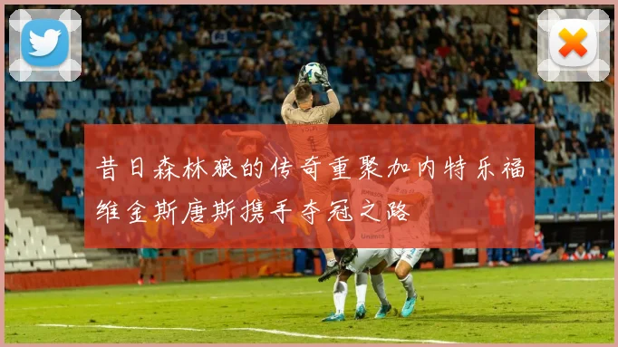 昔日森林狼的传奇重聚加内特乐福维金斯唐斯携手夺冠之路