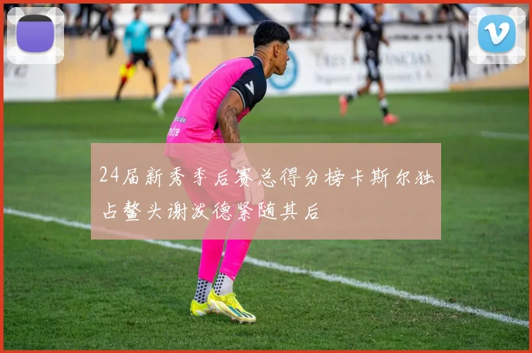 24届新秀季后赛总得分榜卡斯尔独占鳌头谢泼德紧随其后